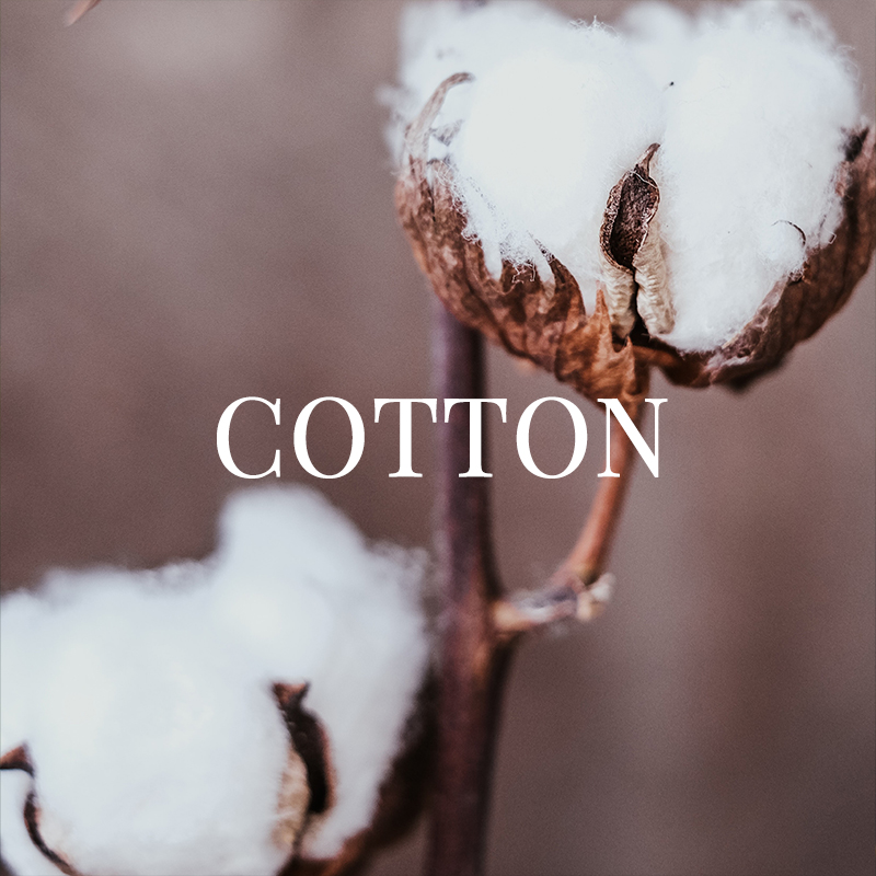 COTTON