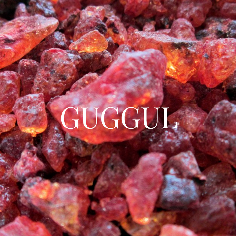 Guggul