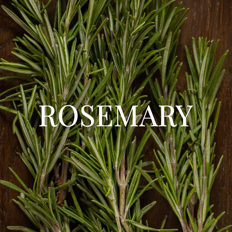 ROSEMERY