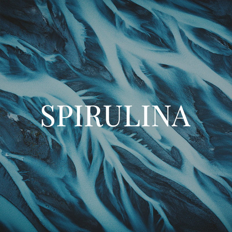 Spirulina